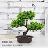 Artificial simulation fake pine tree welcome pine potted model room Exhibition Hall Hotel display green bonsai decorations potted plants