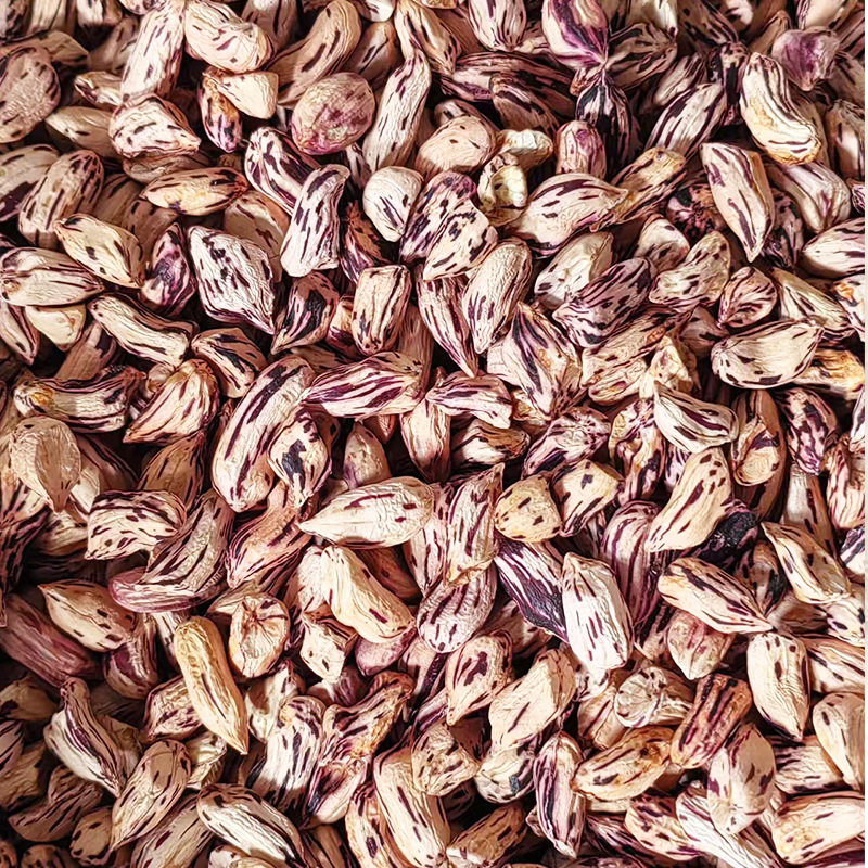 Colorful Flat Peanuts New Arrival Small Flat Peanuts Original Flavor Snacks Vacuum Packaging Yunnan Colorful Peanuts Manufacturer