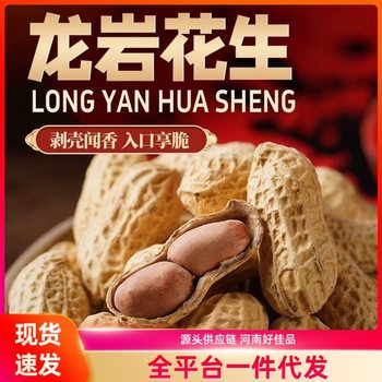 Longyan Peanuts Are Salty, Crispy, and Delicious, a Perfect Snack to Accompany Alcohol. They Are Peeled, Fragrant When Sniffed, Crunchy When Eaten, Hand-Selected for Deliciousness, Perfect for Pairing with Drinks