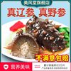 Wild Sea Cucumber Ready-To-Eat Dalian Sea Cucumber 500g Fresh Liaocheng Sea Cucumber Single Gift Box Instant Special Price