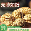 [Daifa] 185 Paper Walnut 500g Xinjiang Thin Walnut Casual Dried Fruit Snacks Hand Peeled Original Big Kernel