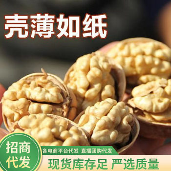 [Daifa] 185 Paper Walnut 500g Xinjiang Thin Walnut Casual Dried Fruit Snacks Hand Peeled Original Big Kernel