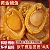 Dried Abalone from Dongshan, Fujian, Seafood Dried Goods for Soup, Specialty Dried Abalone for Soup, Fojiaoqiang 30 Pieces Factory Wholesale