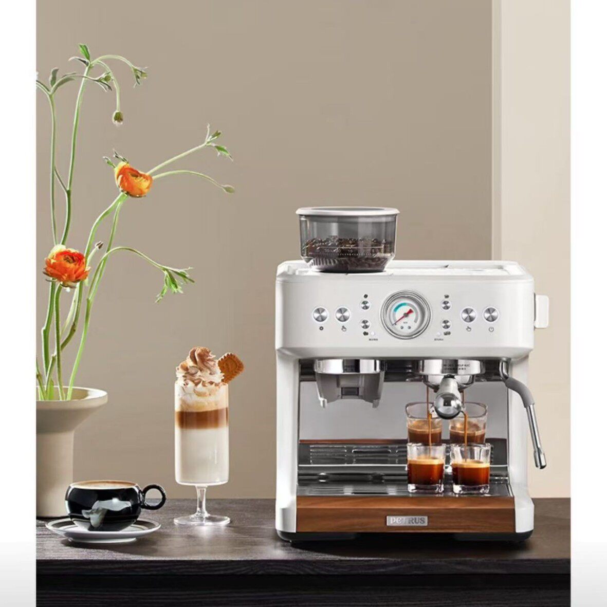 Petri Espresso Coffee Machine Fully Semi-Automatic Household Milk Frother Grinder Integrated Small Double Pump Handle Pe3899