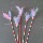 Производители оптом забавная кошачья палочка macaron color cat bell feather funny cat stick поставляет игрушки для домашних животных mini 6