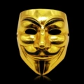 SL-V words-gold plating