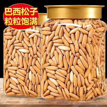 Brazilian Pine Nuts 2024 New Arrival Extra Large Hand Peeled Pine Nuts Snacks Nuts Wholesale in Northeast