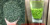 B8 Ароматный чай Wufeng ripe chestnut hair tip 2025 с ароматом спелого каштана - альпийские почки, очень тонкий, очень сильный каштановый вкус, стойкий к завариванию
