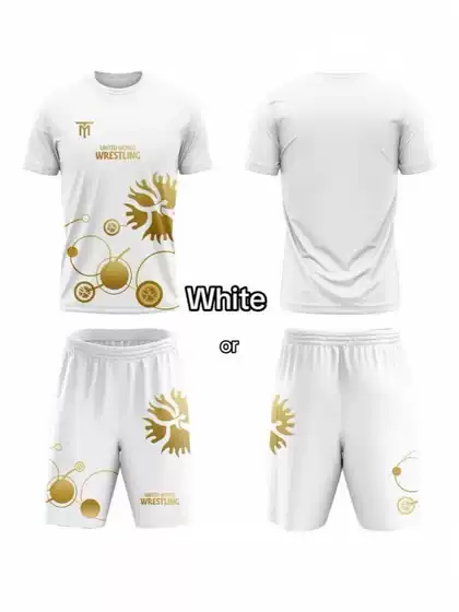 European and American Foreign Trade 2025 Hot-Selling World Wrestling Championship T-Shirt Set 3D Printed Sports Casual Men's Set