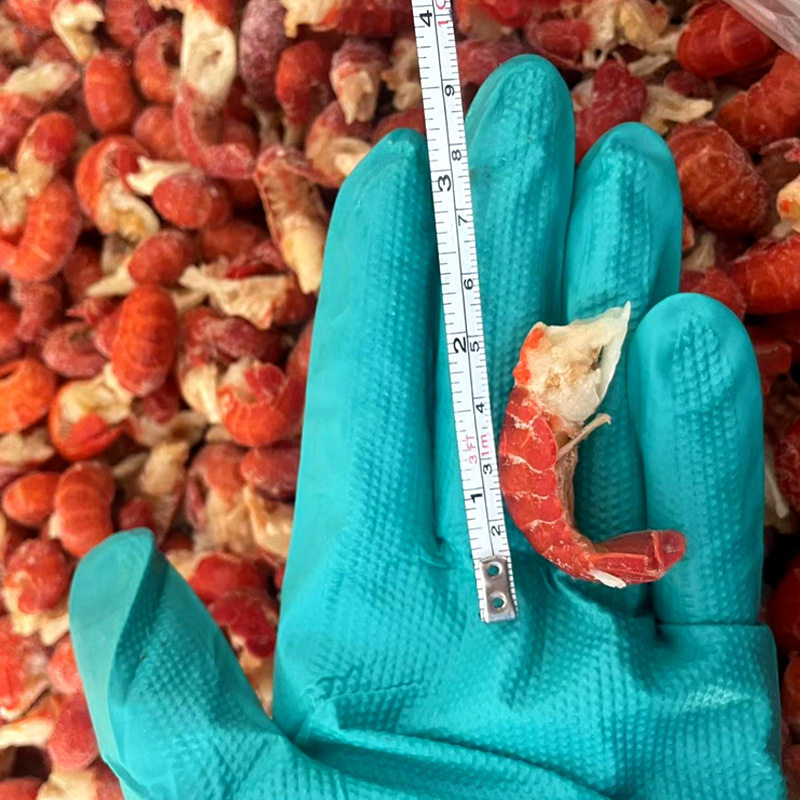 Live Lobster Tails, Freshly Frozen Without Ice Coating, Dry Ice Quick Freezing, Large Crayfish Tails, Commercial Wholesale, Whole Box