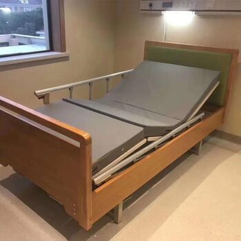Suitable for Aging Home Care Bed Sanatorium Electric Single and Double Hand-cranked Bed for the Elderly Nursing Home Back-up Leg-lifting Rehabilitation Bed
