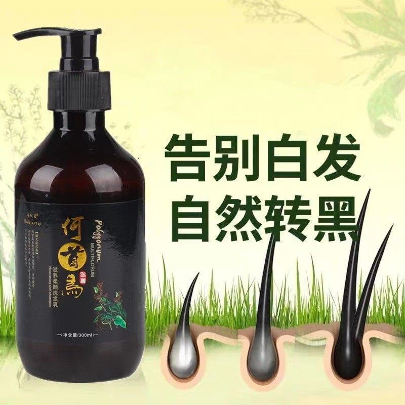 Black Anchunmei Polygonum multiflorum Herbaceous Plant Anti-dandruff Shampoo Oil Control Improves White Hair Radical Treatment to Black Hair Manufacturers