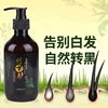 Black Anchunmei Polygonum multiflorum Herbaceous Plant Anti-dandruff Shampoo Oil Control Improves White Hair Radical Treatment to Black Hair Manufacturers