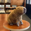 Capybara