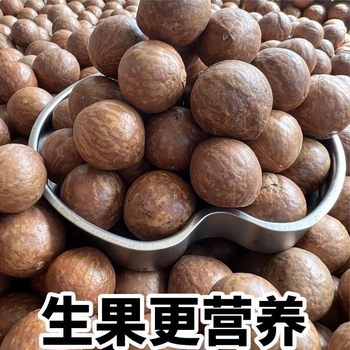 New Raw Macadamia Nuts, Unopened Air-Dried Large Fruits, Yunnan Yongde Origin Nuts Wholesale