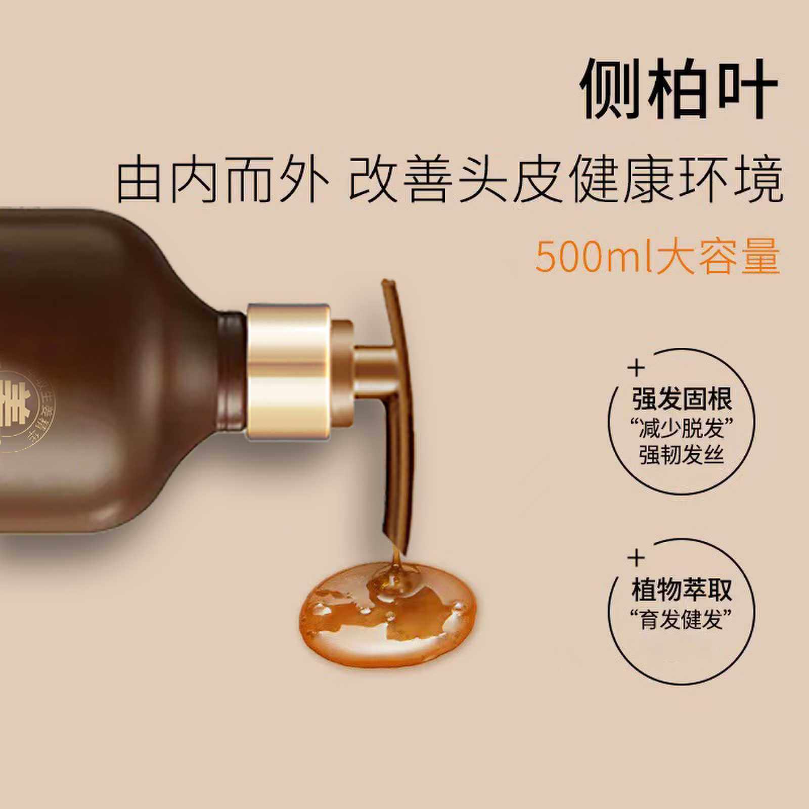 Poly Rong Plant Dense Hair Anti-off Shampoo Side Platycladus Leaves Improve Hair Loss and Moisturize Hair Root Ginger Shampoo Wholesale