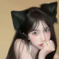 Elegant black plush cat ear hairpin