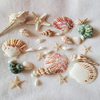 Natural Shell Conch Starfish Material Package Hand-Shot Background Wind Chime Drift Bottle Fish Tank Decoration Set
