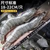 Ecuadorian White Shrimp, Large Shrimp, Fresh, Quick-Frozen, Salt-Frozen, 2030 South American White Shrimp, Prawns, Sea Shrimp, Prawns, Seafood