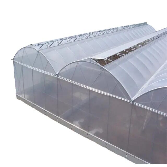 Manufacturers Selling Hot Agricultural Greenhouses Plastic Film Multi-Span Greenhouses