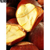 Freshly Picked Wild Chestnuts from Deep Mountains, Raw Chestnuts in Stock