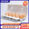 12-Pack White Pulp Egg Cartons, Pulp Egg Trays, Egg Packaging Pulp Trays