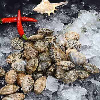1.5kg Packs of Lianyungang Seafood Fresh Flower Clams Fresh Flower Clams Variegated Clams Clams Meat Shellfish Wholesale
