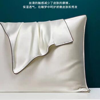 Cross-Border Foreign Trade Export Silk Pillowcases, Ice Silk Satin Pillowcases, Solid Color Imitation Silk Manufacturer Wholesale, Ice Silk Cooling Sensation