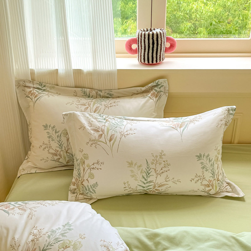 Autumn and Winter Thickeneded Brushed Four-Piece Set, Class a Pure Cotton Bedding, Nantong Home Textiles, Cotton Bed Bed Sheetss and Quilt Cover Three-Piece Set