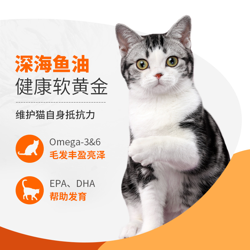 金装好主人猫粮2.0升级无谷成猫粮80%含肉蛋白5斤官方旗舰店正品 - 图0