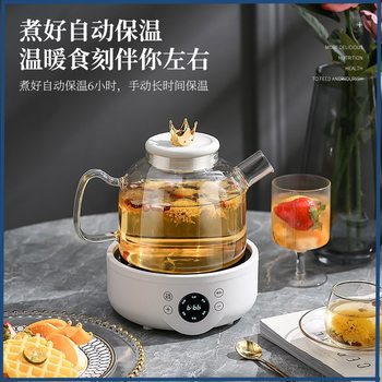 110V American Standard Multifunctional Tea Maker Glass Health Pot Office Fully Automatic Flower Teapot Household Decoction Pot