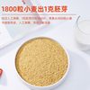 Cooked Wheat Germ High-Fiber No-Cook Instant Meal Replacement Source Factory Multiple Specifications Zhishantang