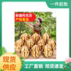 Xinjiang Aksu 185 paper walnut new original flavor raw walnut 1000 g/bag