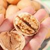 Manufacturer Wholesale 185 Paper-Skinned Walnuts New Crop Dried Fruit Wholesale Xinjiang Aksu Thin-Skinned Walnuts Nut Food