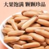 New Hand-Peeled Brazilian Pine Nuts Small Bag 500g Extra Large Capsules Original Flavor Nut Snacks for Pregnant Women Bulk Dried Fruits