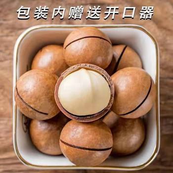 New Arrival of Large Macadamia Nuts with Shells, Creamy Nuts, Free Opener, Bagged Roasted Seeds and Nuts, Snacks