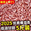 2025 New Shandong Small Peanuts Small Peanuts Small Peanuts Farm Sweet Snacks New Arrival