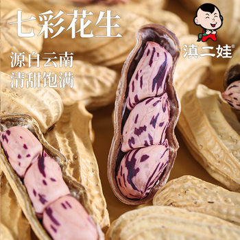 Yunnan Qicai Peanuts Plump and Sweet Specialty Fresh Sun-Dried Shelled Raw Peanuts Snacks to Drink with Wine