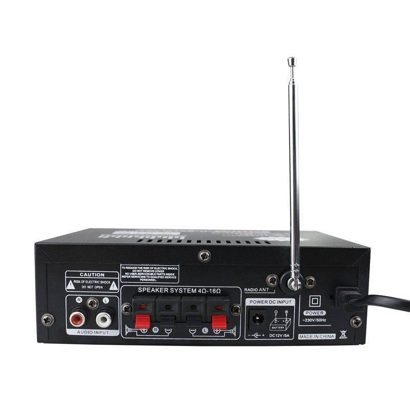 Mini small power amplifier speaker power amplifier card U disk radio DC 12V 220V Bluetooth power amplifier