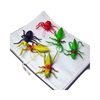 All kinds of rubber soft rubber odorless cute small insects three-dimensional 3D animal model play house toys wholesale
