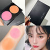 Myg15 Color Palette Beginner's Bridal Makeup Studio Makeup Artist Recommended Lip Glaze Lipstick Palette Moisturizing and Brightening