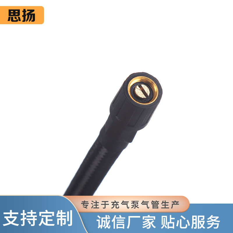 Press-Type Car Air Pump with 30cm Inflation Hose, M6 Hexagonal Copper Connector, and Tire Pressure Gauge for Vehicle Use