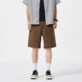 Dll-c131 # Brown