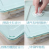 Refrigerator Storage Box Multi-Layer Dumpling Box Household Plastic Transparent Large Crisper Food Box Dumpling Tray with Lid