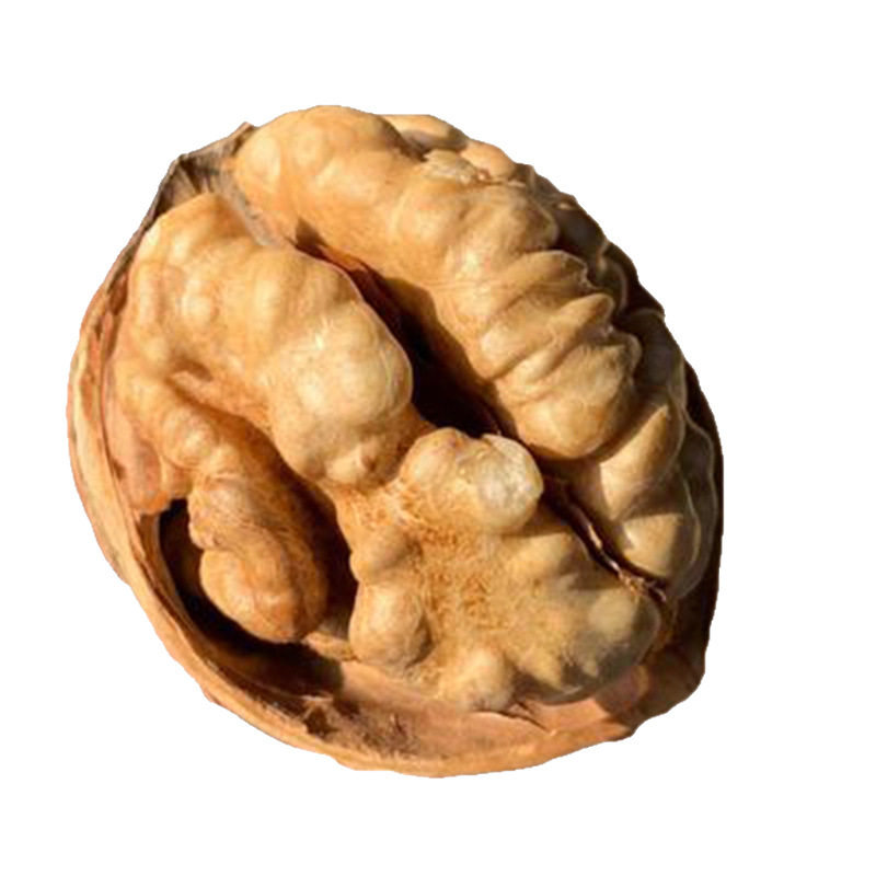 Sample Delivery of Xinjiang Aksu Raw Walnuts Original Flavor 500g Individually Packaged 185 Thin-Skinned Paper-Skinned Walnuts