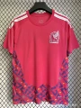 2627 mexico goalkeeper