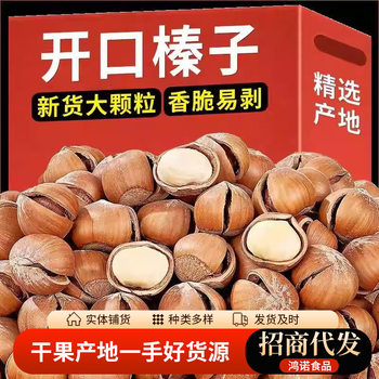 New Northeastern Open Hazelnuts 500g Thin-Skinned Extra Large Hazelnuts Original Roasted Nuts Specialty Wholesale