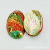Sell color mini small abalone shell aquarium landscape optimization conch shell craft pearl ornaments