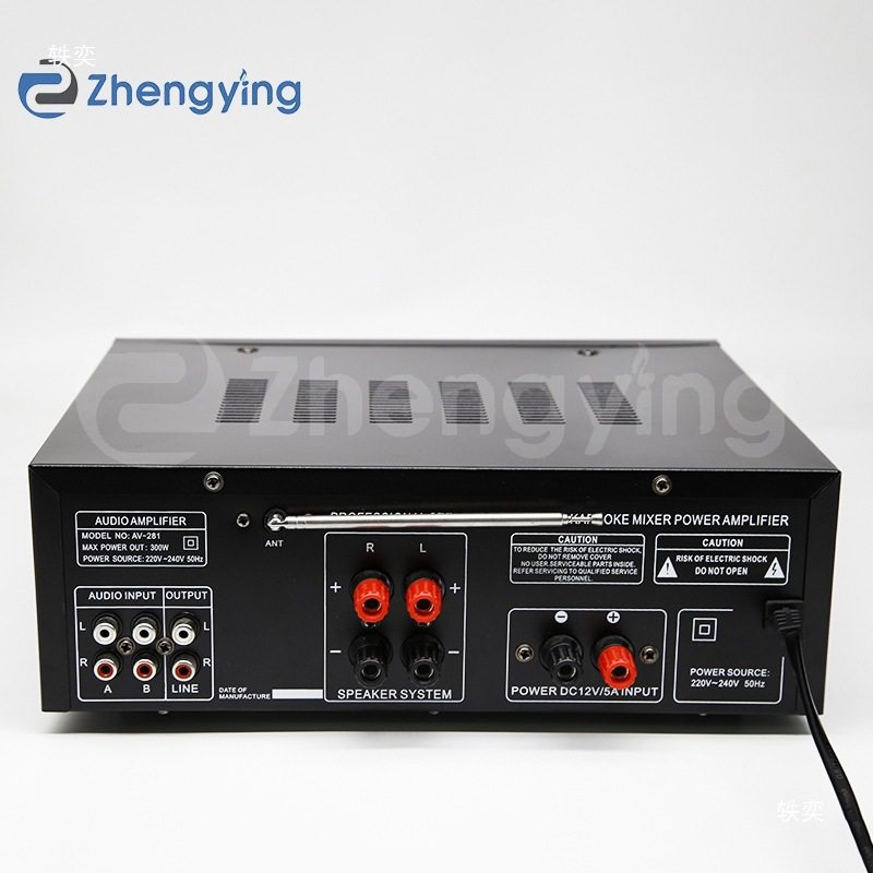 High-Power Household Power Amplifier 12V220V Bluetooth Eq Equalizer Car Outdoor Karaoke Dual-Purpose Power Amplifier