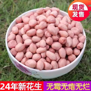 2024 new peanuts are now peeled new products special selection of shellless white sand peanuts vermicelli fresh raw peanuts shelled